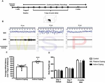 Passive Coping Strategies During Repeated Social Defeat Are Associated With Long-Lasting Changes in Sleep in Rats